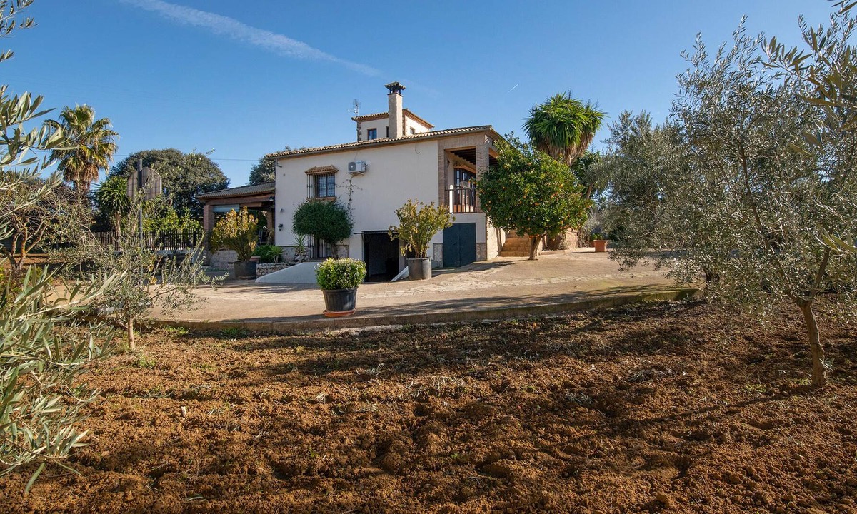 Setenil de las Bodegas House | In the heart of Andalusia, this spacious finca with swimming pool welcomes you in a quiet landscape.