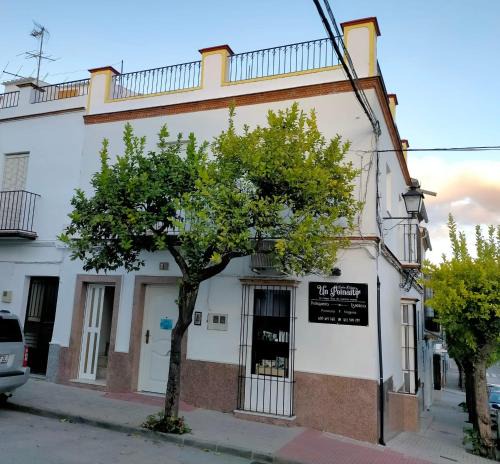 Prado del Rey House | Jacaranda