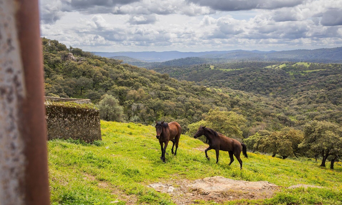 Zufre House | La Arborea Country House with Mountain Views, Private Terrace, and Wi-Fi