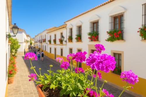 San Basilio Apartment | La casa de Rafalita