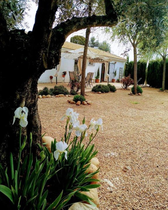 Marmolejo House | La Casa del Abuelo Jose
