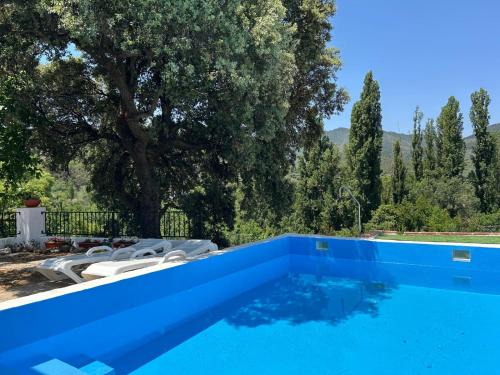 Carrasco House | La Casica de Carrasco