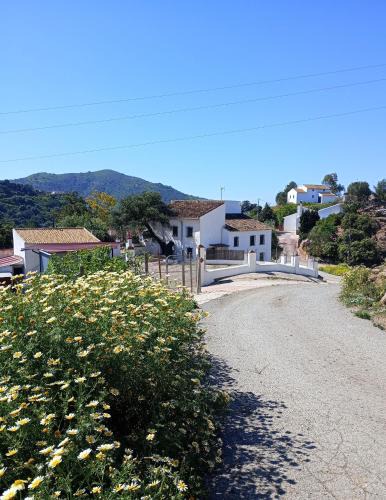 Valle del Guadalhorce Apartment | La Encina