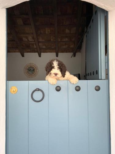 Bornos House | La Puerta Azul