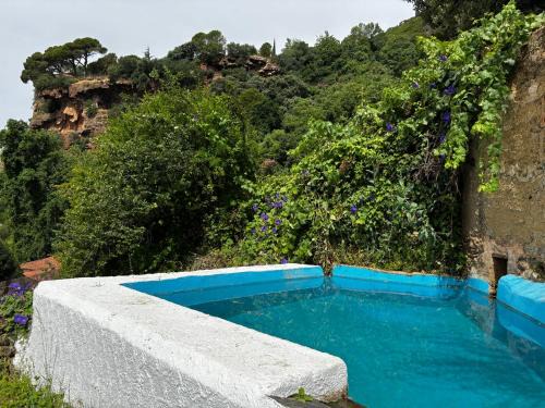 Alajar House | Las Cañas by SIERRA VIVA