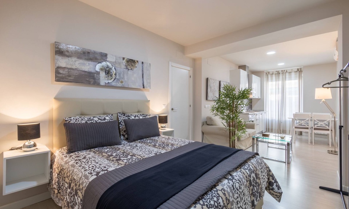 Figares Apartment | LOFT IN THE CENTER OF GRANADA (RECOGIDAS)