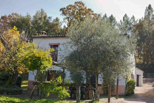 Fuenteheridos House | Los Cascos