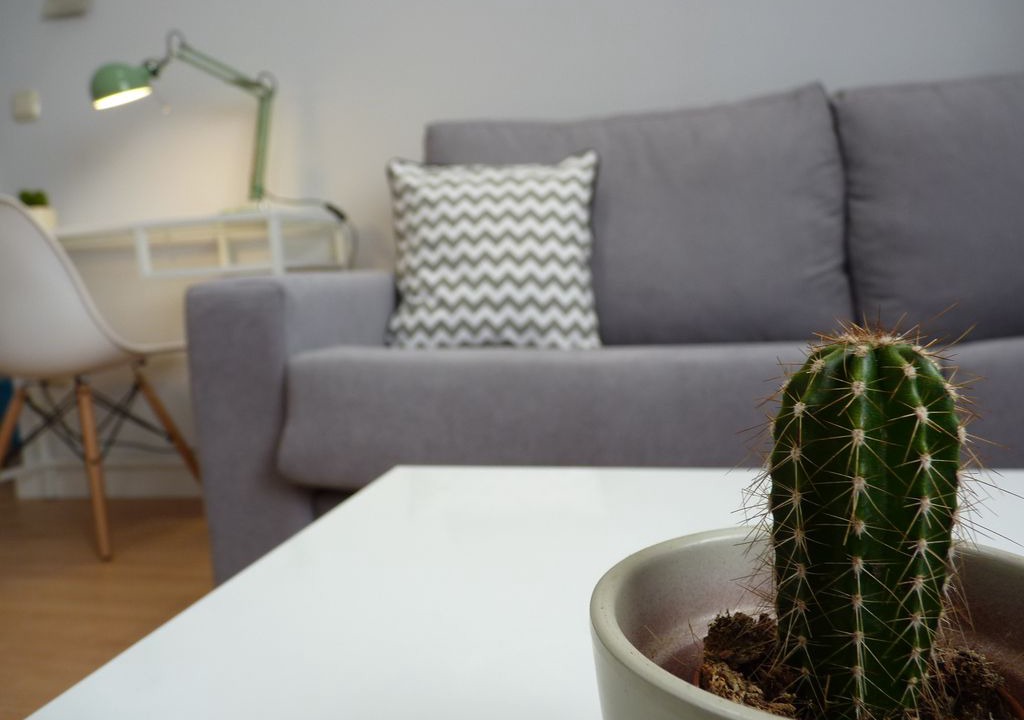 Camino de Ronda Apartment | LOVELY APARTMENT IN GRANADA. PRIVATE PARKING