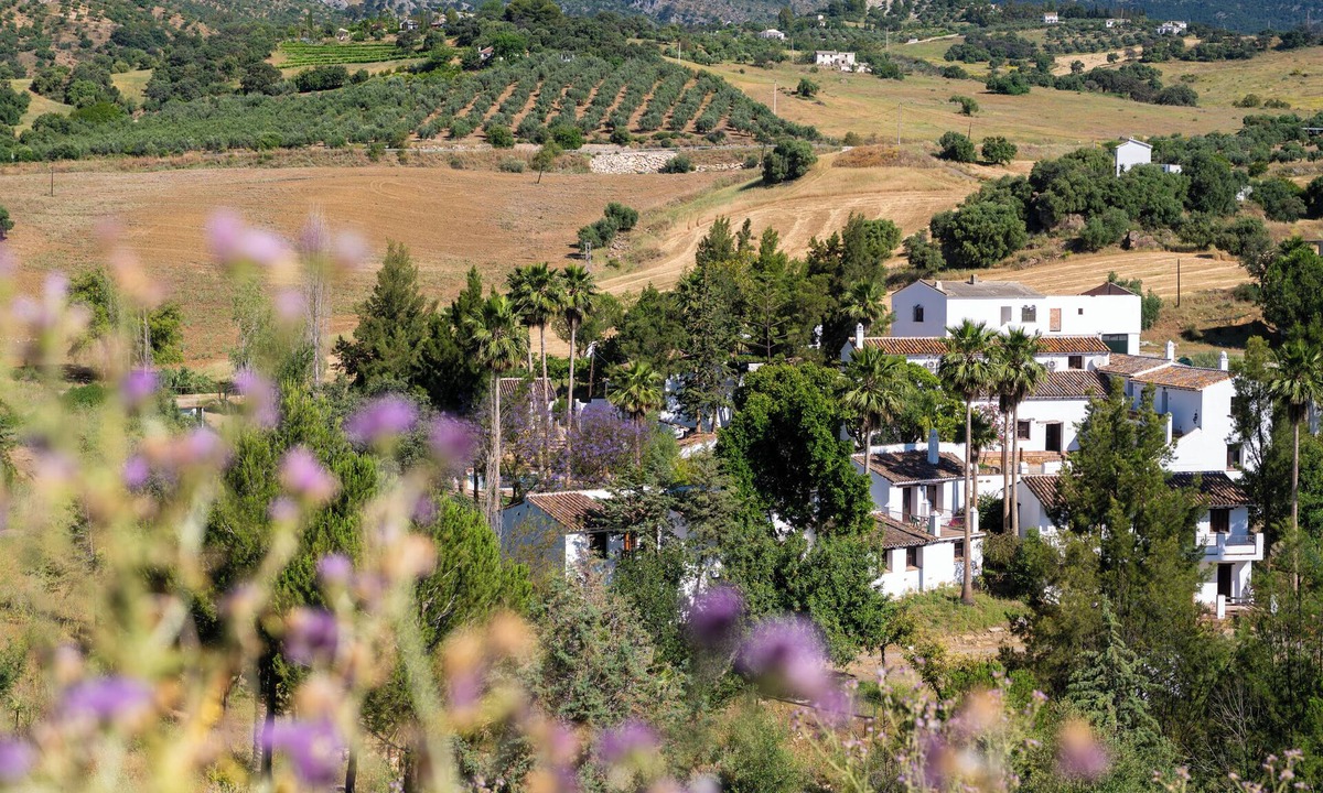 Casarabonela Apartment | Málaga Sierra de las Nieves Real Spain Adults Recommended