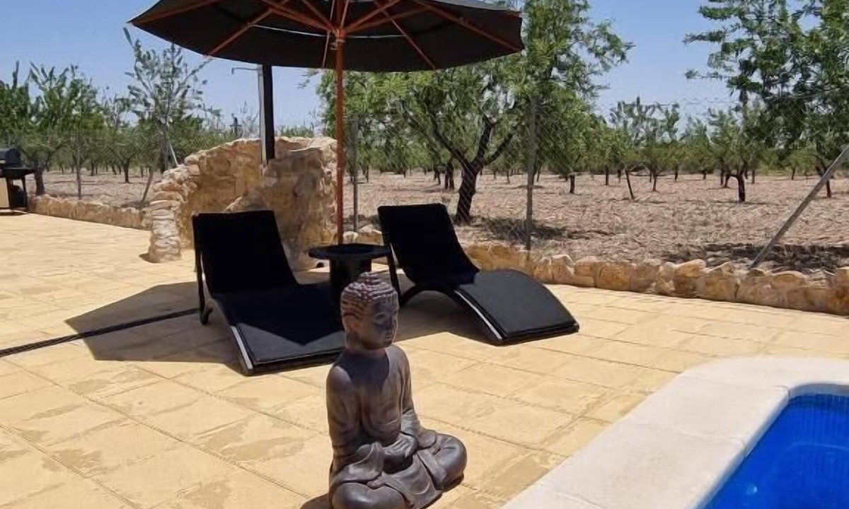 Oria Bed & Breakfast | Oasis view