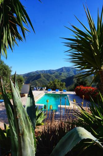 El Chorro House | Olive Branch El Chorro