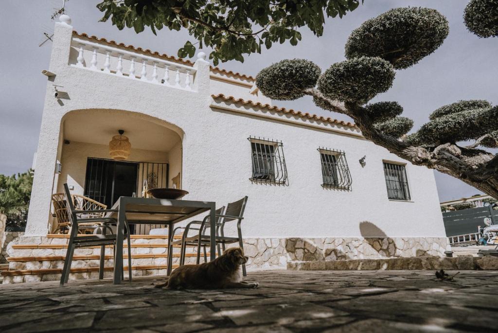 El Perello House | Oliveres3