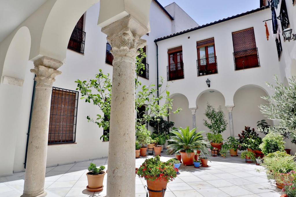 Distrito Centro Apartment | Pedro Lopez Free Parking Cordoba Center