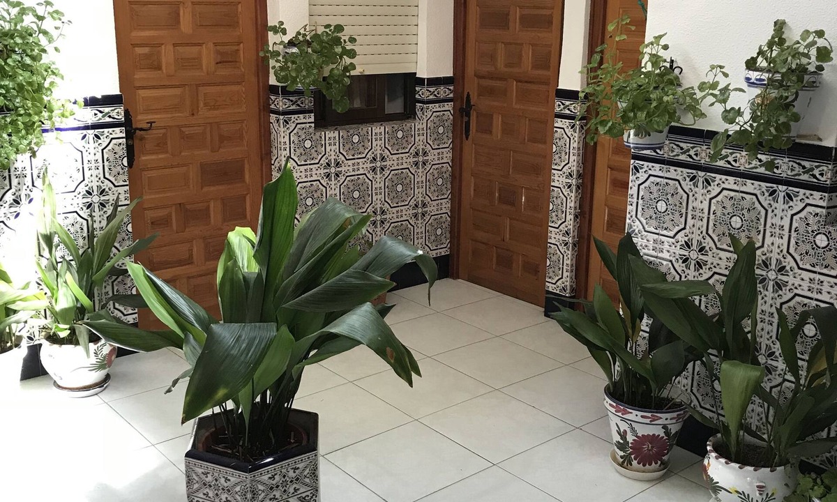 Malagon House | Pension Los Molinos