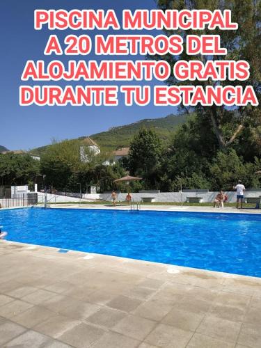El Bosque Apartment | Pet Friendly Apto El Sendero