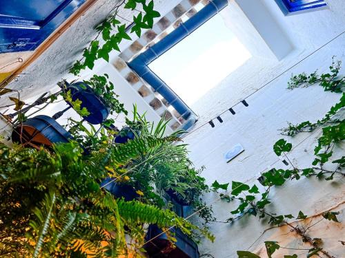 Velez-Blanco House | Rainbow House with Castle and Mountain Views