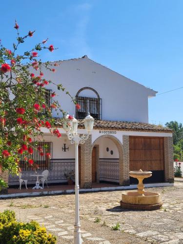 Rute House | Riocorvo