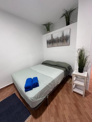 San Diego House | Rooms San Jorge
