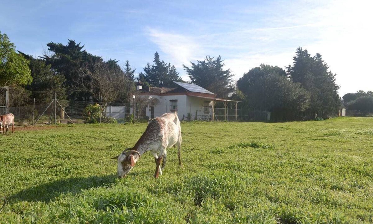 Chiclana de la Frontera Cottage | Rural house in the middle of nature