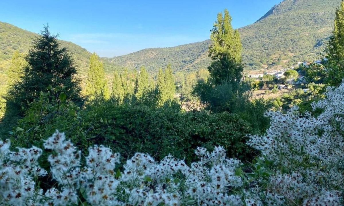 Benamahoma Cottage | Stay Wild en Las Casitas de Huerta Arriba