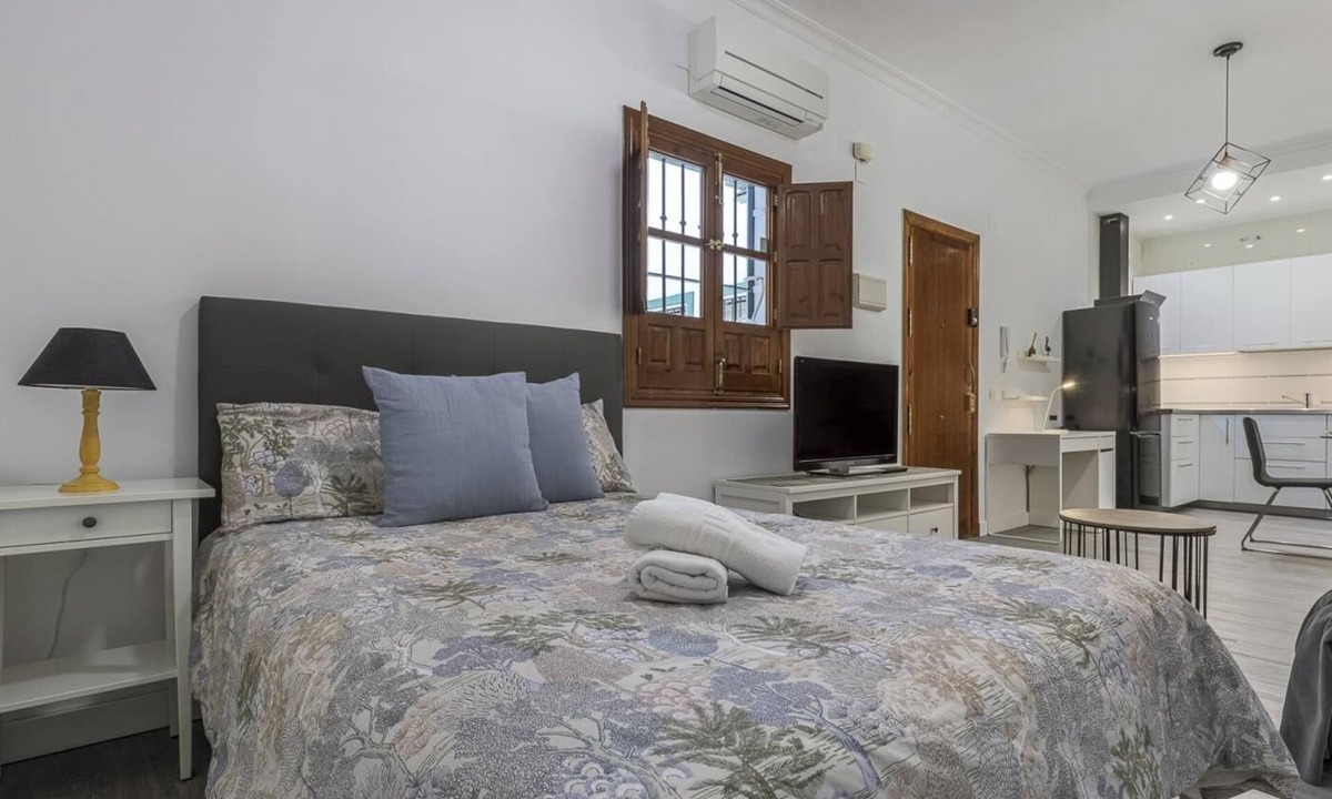 San Vicente Apartment | Studio with charm at the historic center. WIFI/AC