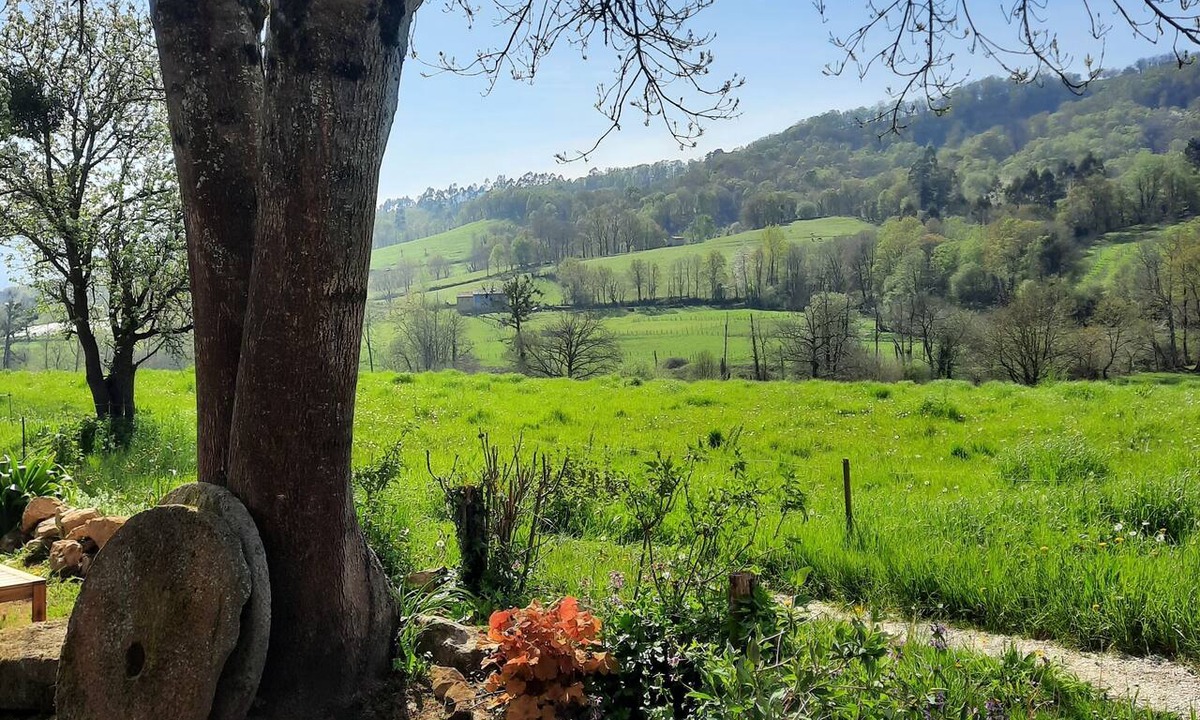 Gradatila Cottage | The Painter's Cottage. Country house in Asturias. Relax while looking at 1 native forest