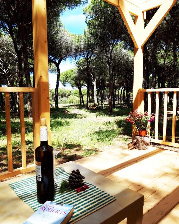 Los Gallos-Cerromolino House | The PineForest Cabin