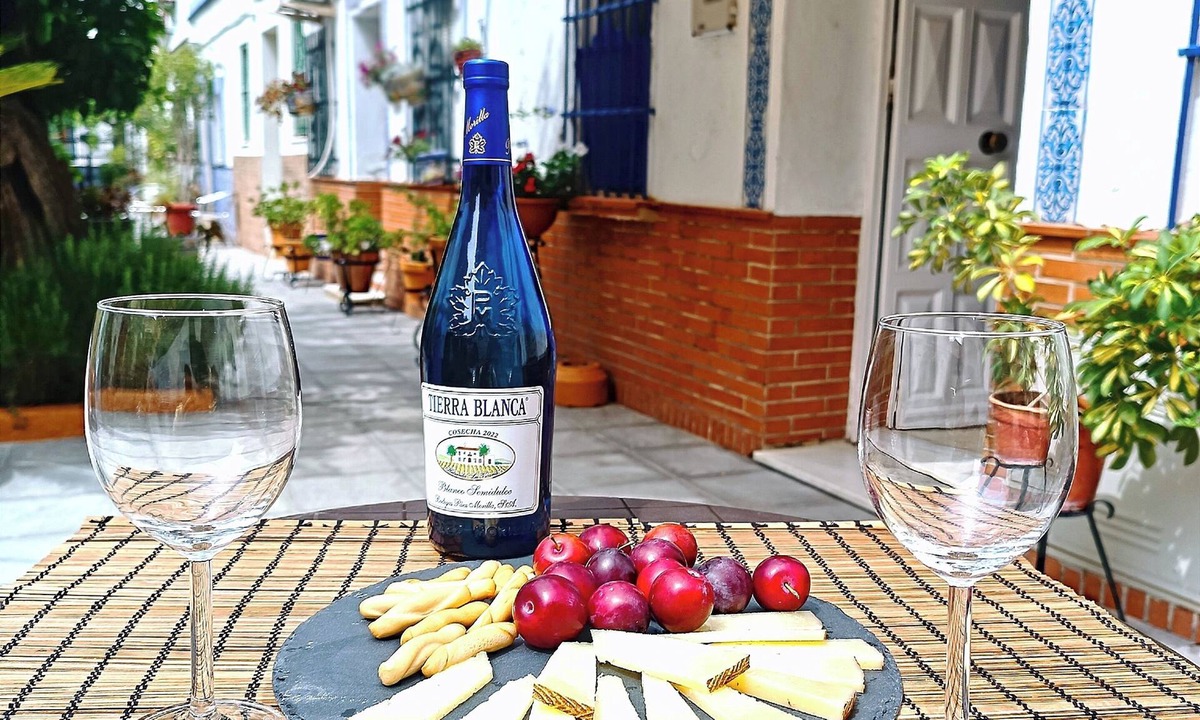 Triana Apartment | Typical and picturesque neighborhood courtyard, with charm, TRIANA