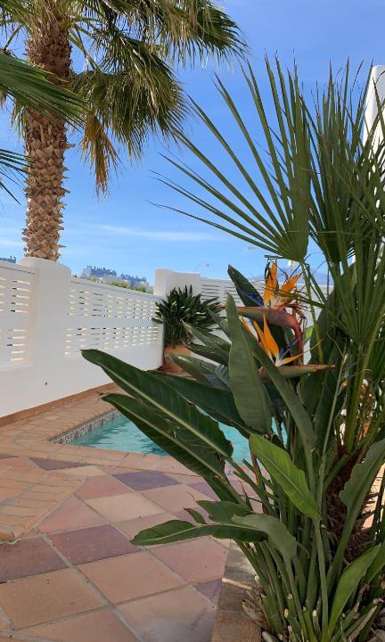 Almerimar Villa | villa cinco palmas