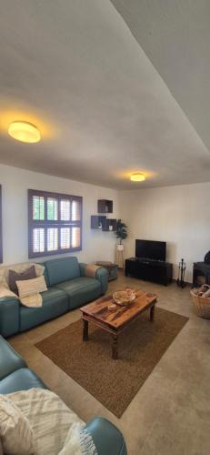 Zalea Villa | Villa Picasso