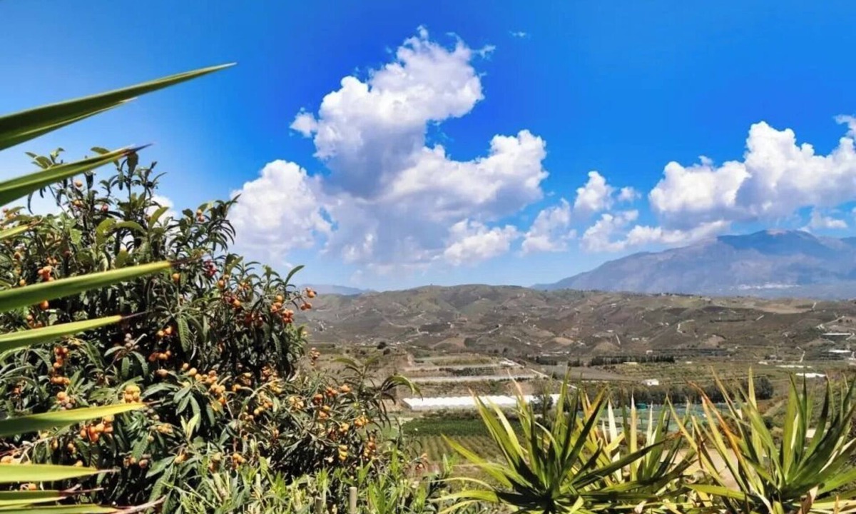 Velez-Malaga Apartment | Viñuela Hideaway - Your Mountain Studio with Kitchen & Pool