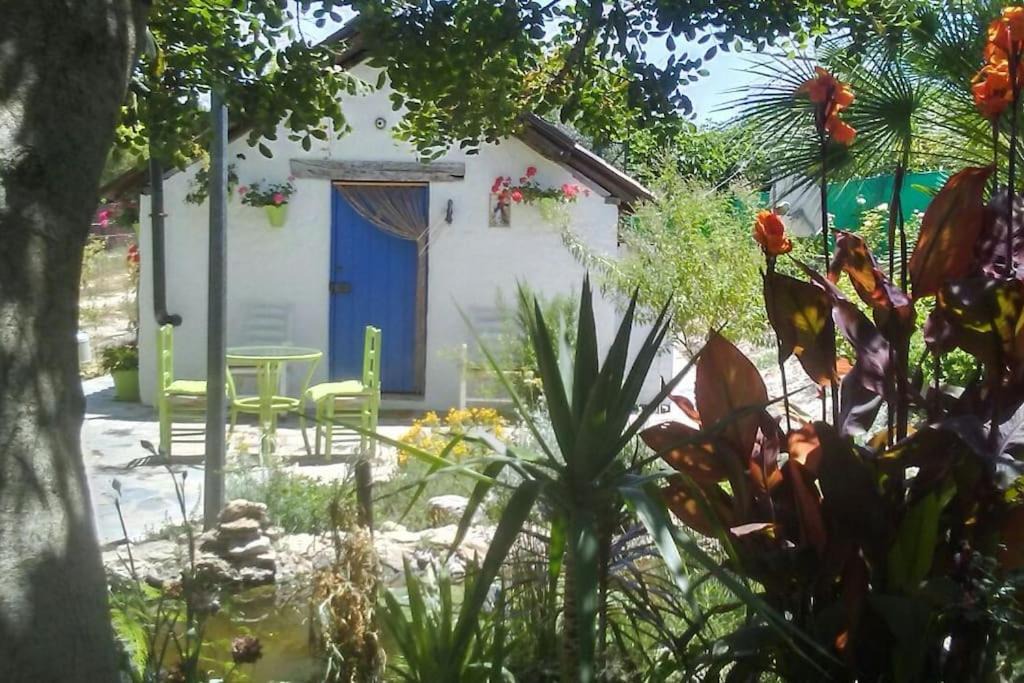 Jerez de la Frontera House | Vivienda Rural La choza