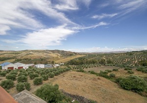 Lovely Holiday Home in Villanueva de San Juan