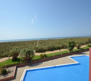 Las Palmeras 