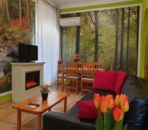 Apartamentos 
