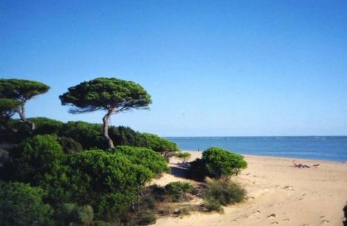 El Portil Apartment | Ático del Portil