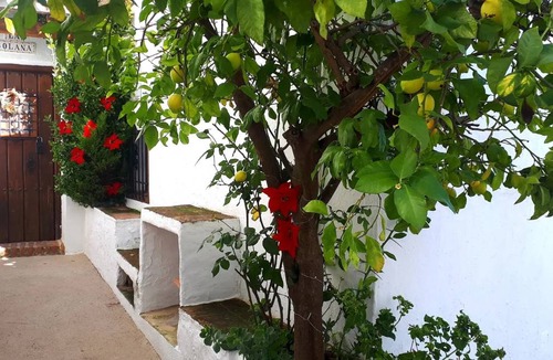 Benadalid House | 60 m² House ∙ 3 bedrooms ∙ 4 guests