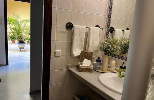 Historical Center Apartment | Aitana en Alvarez Quintero