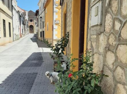 Ambite House | Alojamiento Rural Ambite