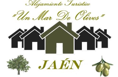 Jaen House | Alojamiento Turístico Un Mar De Olivos Jaén
