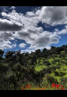 Solana del Pino House | ALOJAMIENTO TURISTICO LAS SOLANERAS