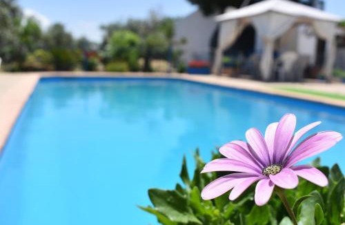 Pozo Alcon House | Alojamientos Rurales la Loma