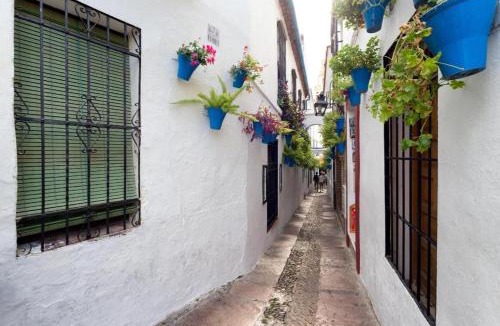 San Francisco-Ribera Apartment | APARTAMENTO CAREY