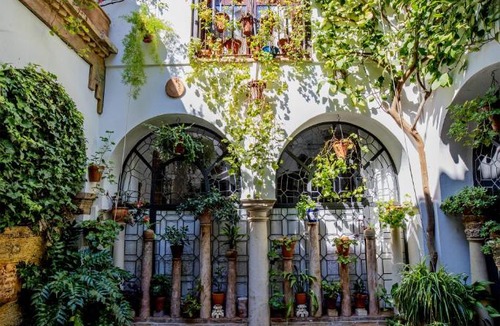 San Basilio Apartment | Apartamento con patio cordobés en San Basilio & Parking
