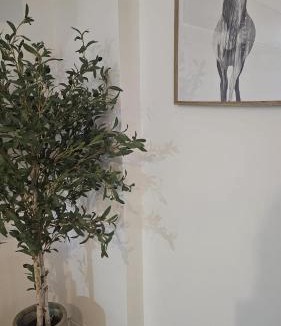 La Catedral Apartment | Apartamento Menina Santa Ana