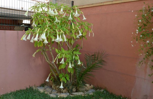 Las Lagunas Apartment | Apartamento Molino de Viento