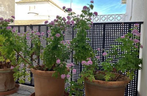 Ayamonte Apartment | Apartamento sobre el rio Guadiana