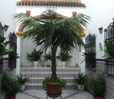 El Bosque Apartment | Apartamentos Los Arcos