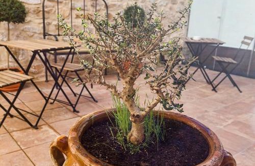 Old Town Baeza Apartment | Apartamentos Turísticos El AOVE