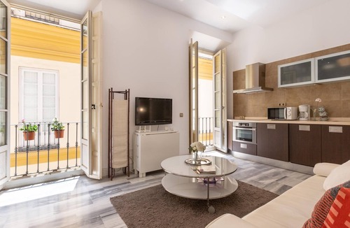 La Victoria Apartment | Apartment overlooking Plaza de la Merced in the building where Picasso was born